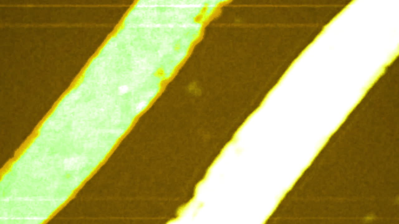 Vibrant Abstract Digital Lines Motion Graphic