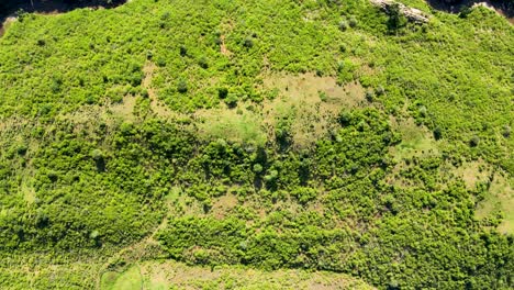 Aerial-drone-view-of-Africa-kenya