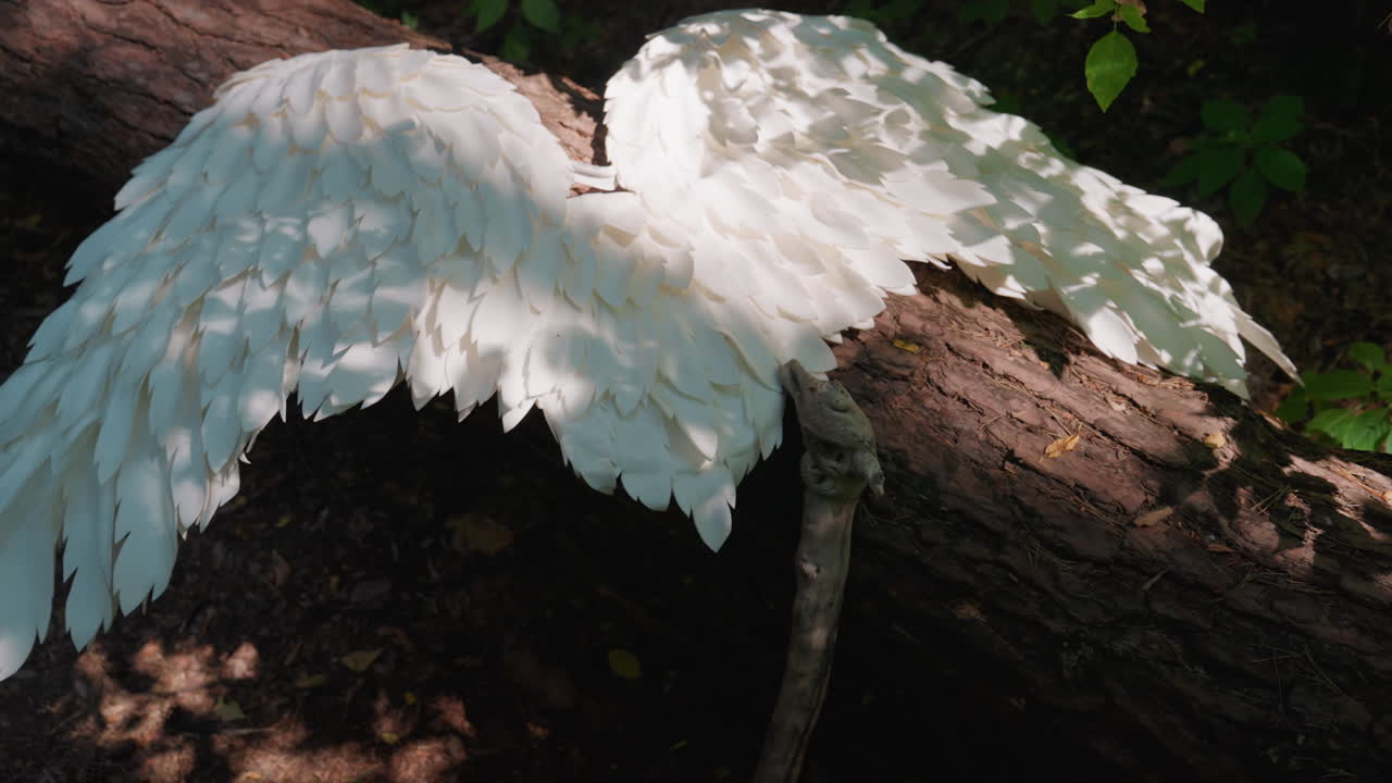 Top view of angel wings resting on forest log under gentle sunlight, white feathers glowing softly among green leaves, symbolizing purity, peace, and ethereal grace