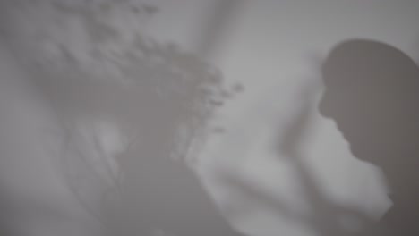 artistic shot of reflection on wall of man touching flowers