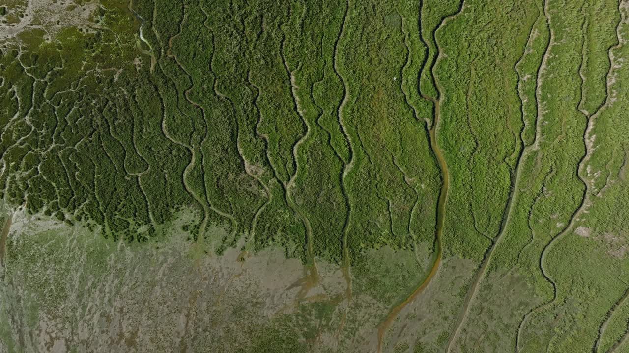 patrones abstractos de los cursos de agua en el verde del delta del río slikken van voorne, dron