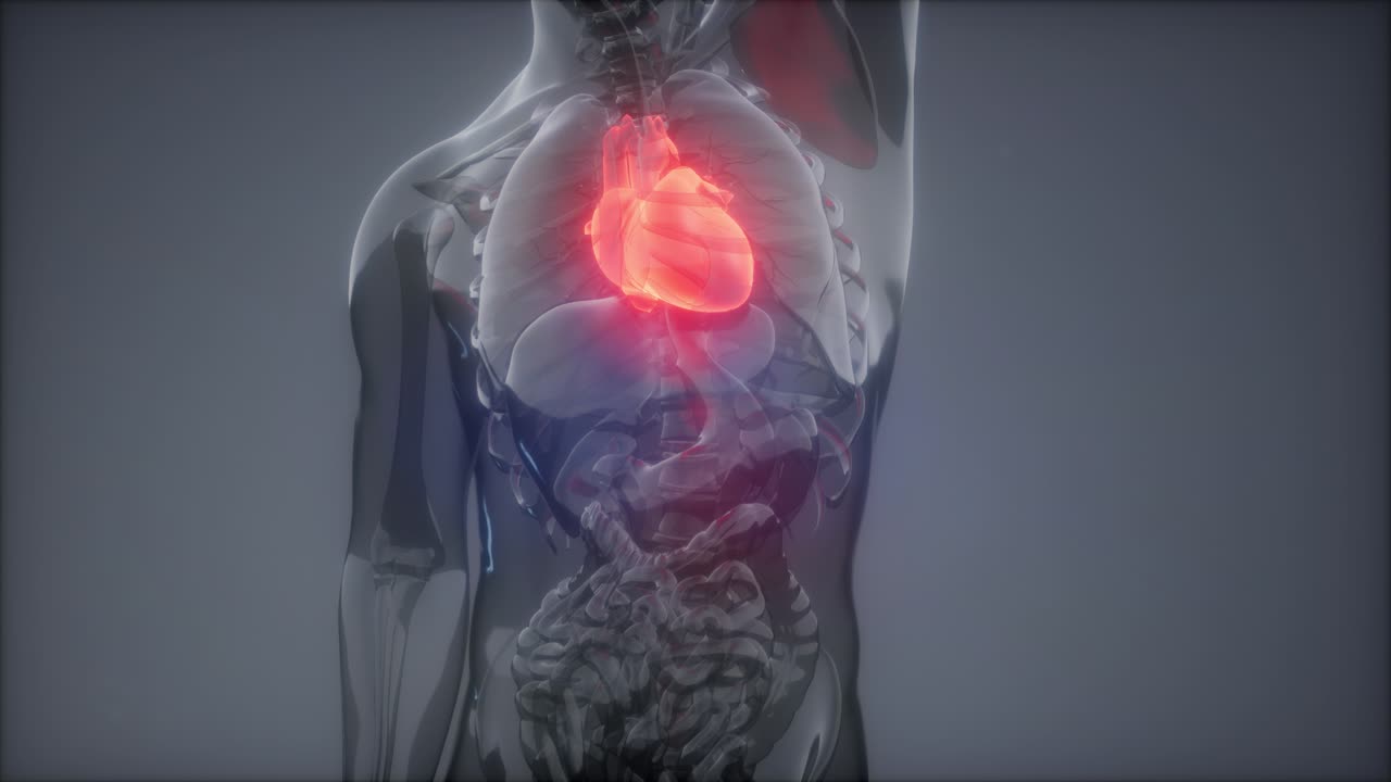 examen de radiología del corazón humano