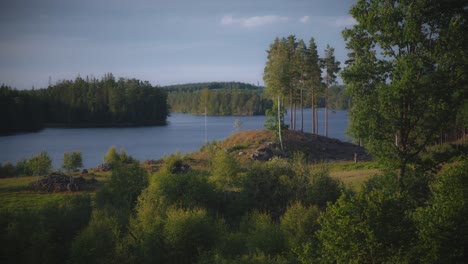 swedish lake behind forest clearing with golden sunlight