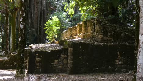 Closeup-of-the-Twinned-Columns-Building-at-Kohunlich-Mayan-Site---Quintana-Roo,-Mexico