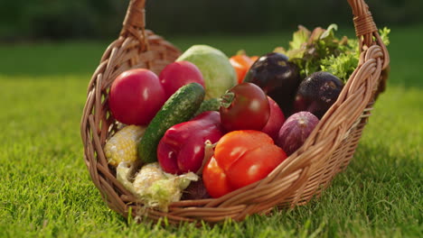 basket of fresh vegetables on grass