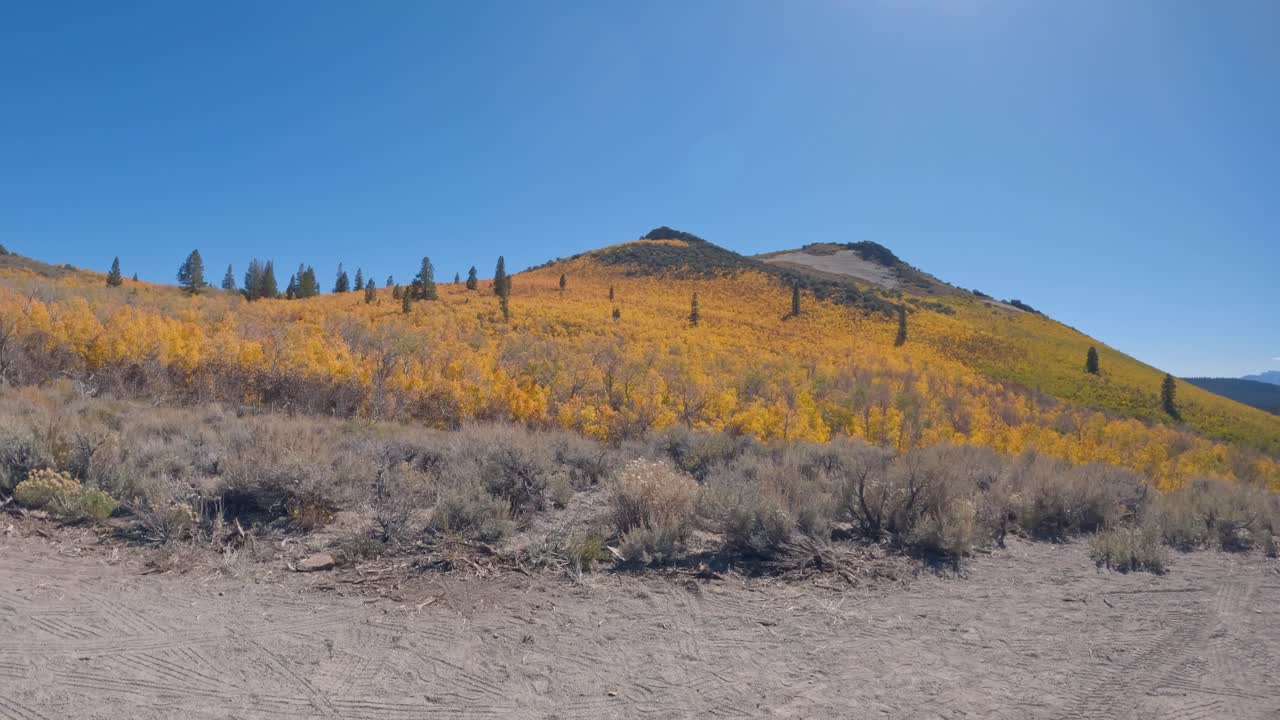 conduciendo por un camino de tierra durante los colores de otoño en la sierra oriental - increíble follaje de otoño en california