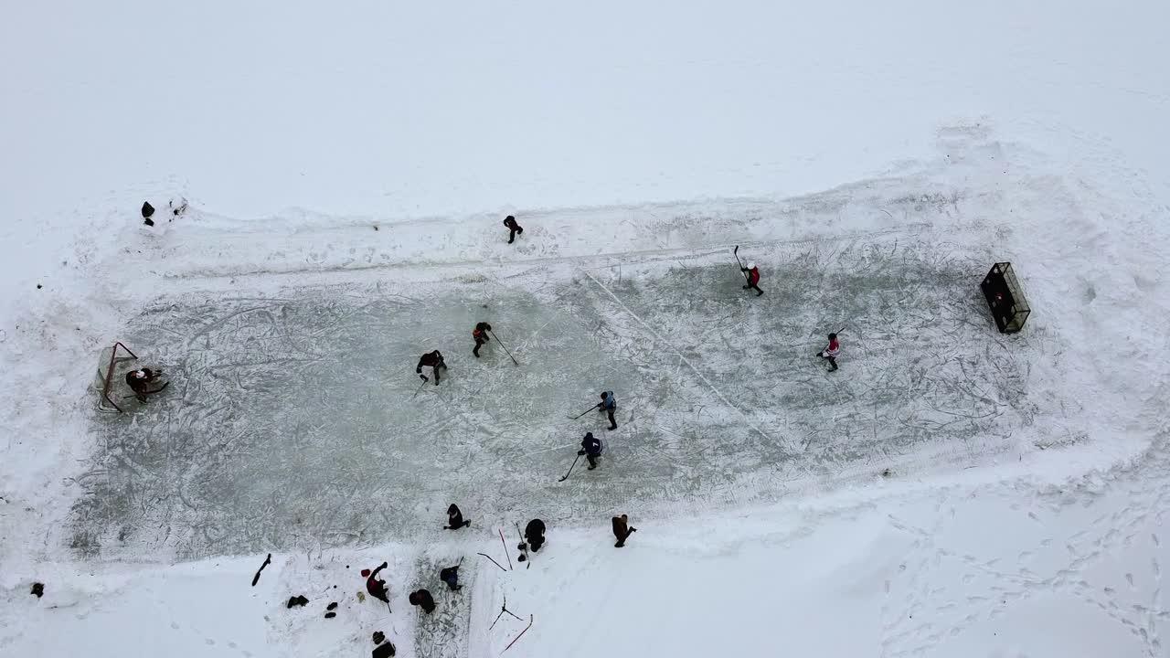 붉은 사슴, 앨버타, 캐나다