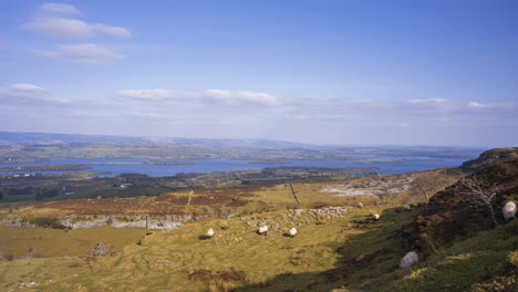 time lapse of rural and remote landscape of grass, trees and rocks during the day in hills of carrowkeel in county sligo, ireland