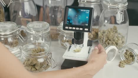 cannabis testing and analysis in a laboratory setting