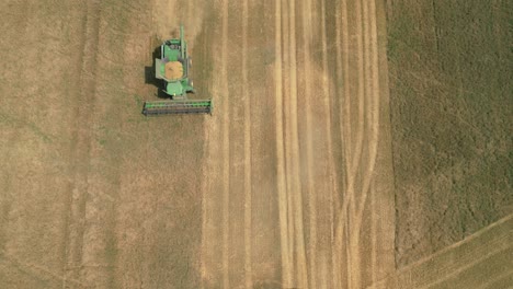 combine harvesting wheat field - aerial top down