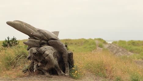 Delphin-Holzstatue-Auf-Dem-Dünenfeld-Während-Der-Familie-Mit-Vorbeifahrenden-Fahrrädern,-Statischer-Schuss