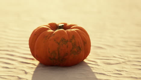 Calabaza-De-Halloween-En-Las-Dunas-De-La-Playa