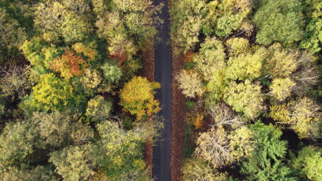 Landstraße-Entlang-Eines-Wunderschönen-Waldes