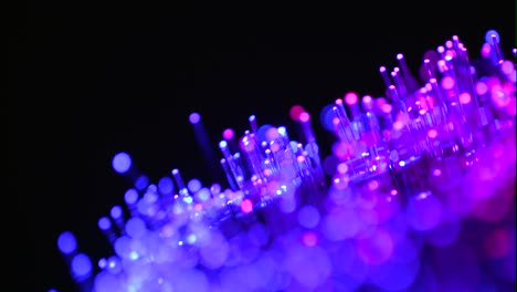 fiber optics macro shot 19