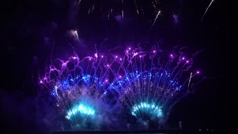 los fuegos artificiales en el cielo nocturno.