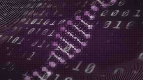 animation of dna strand and binary coding over purple background