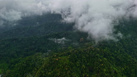 endless indonesia jungle with clouds flying, aerial panoramic view