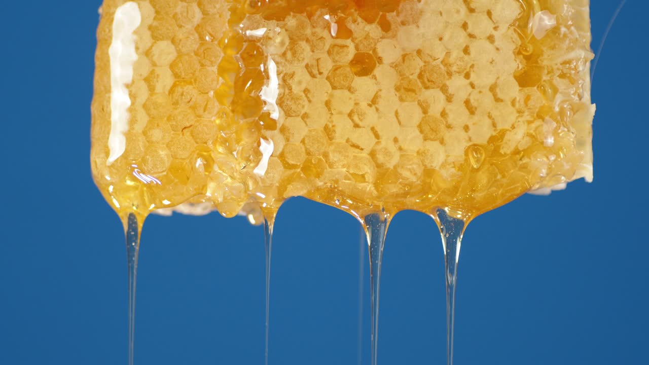 Miele fresco che scorre dal favo.
