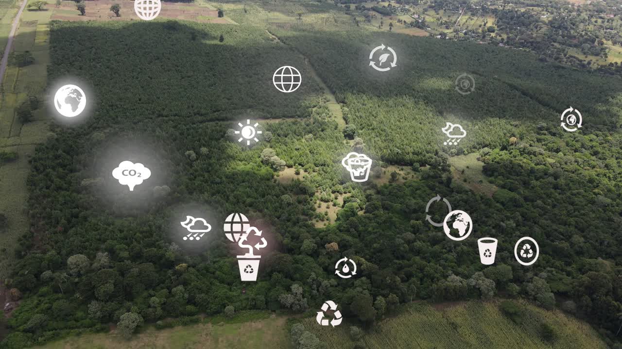 drone view- áfrica bosque- kenia y tanzania- incendio forestal en las laderas del monte kilimanjaro loitokitok kenia
