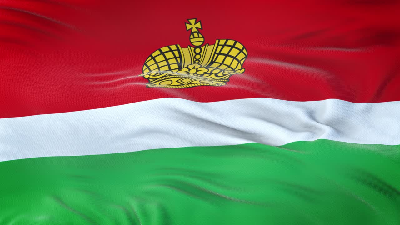Bandiera dell'Oblast di Kaluga (soggetto federale della Russia) che sventola al vento con texture del tessuto altamente dettagliata. Loop senza soluzione di continuità.
