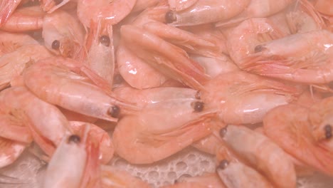 fresh shrimp ready to cook