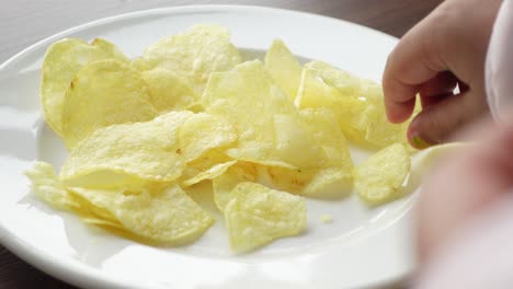 plate of potato chips