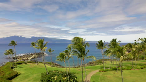 footpath among palm trees on coast of maui island, hawaii