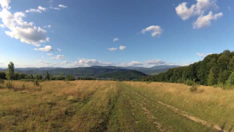 summer carpathians