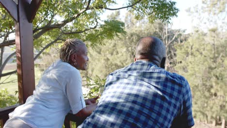 una feliz pareja afroamericana de alto nivel bebiendo vino en una terraza soleada, cámara lenta