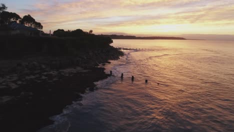 drone revealing a sunrise over a seaweed covered beach to reveal a bay