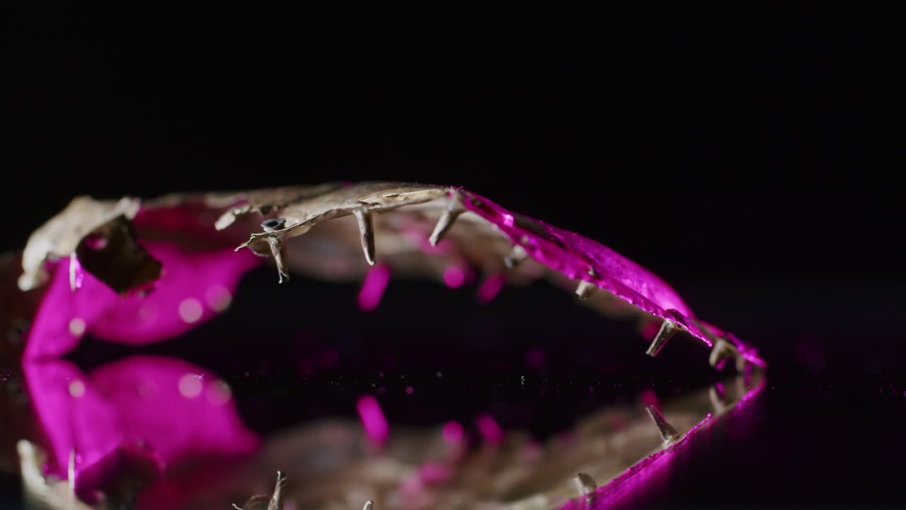 un broche de oro de una sacerdotisa escita de 2000 años de edad, un viejo pendiente, una rueda giratoria, encontrado durante las excavaciones. joyas vintage. religión. primer plano