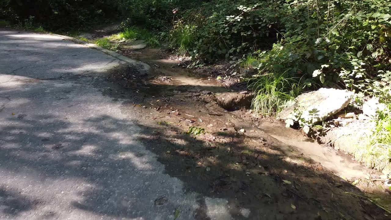 초록색 숲에서 온 순수한 물줄기