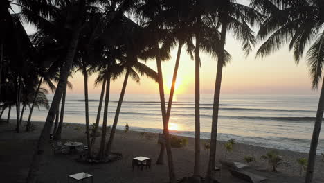 Bienvenido-Al-Paraiso-Tropical