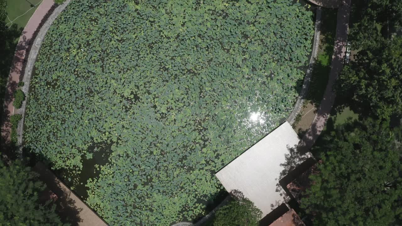 호수, 무성한 정원, 다리, 녹지 공간, 통로 및 나무가 있는 현대 도시 공원의 하향식 공중 전망