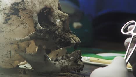 analyst takes dirt samples from human skull and places in test tube