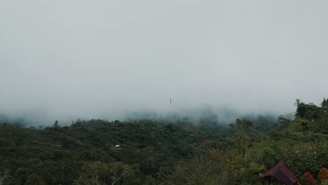 Cinematic-timelapse-of-fogg-moving-through-trees-in-the-Philippines,-Asia,-time-lapse