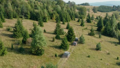 Off-road-Cars-Driving-On-Mountain-Hill-Of-Radocelo-With-Serbian-Spruce-In-Spring-In-Serbia