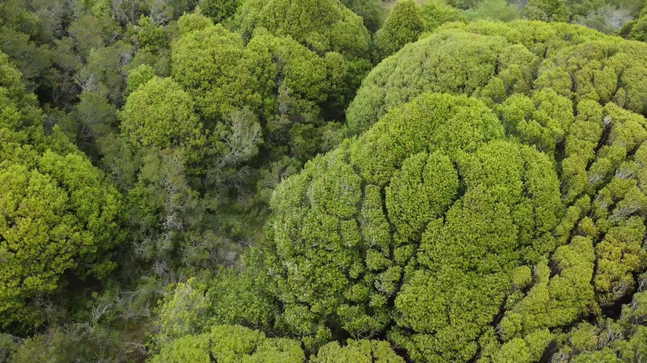 volando alto sobre asombrosos paisajes naturales, lugar pacífico en el cielo, california