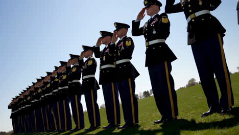 military formation saluting ceremony