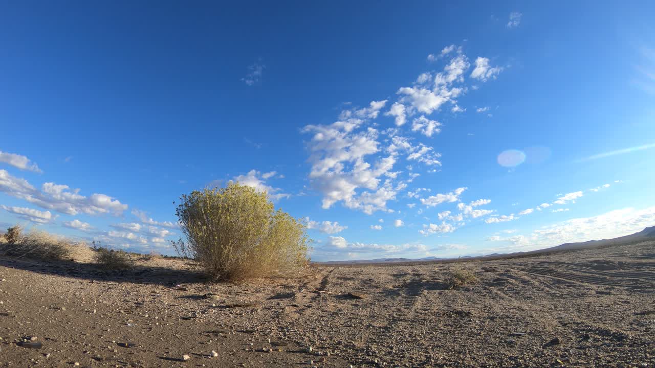 lapso de tiempo del arbusto del desierto de mojave