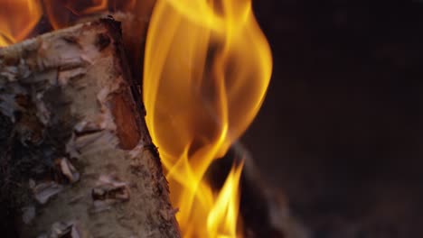 burning logs slow motion 4k 05