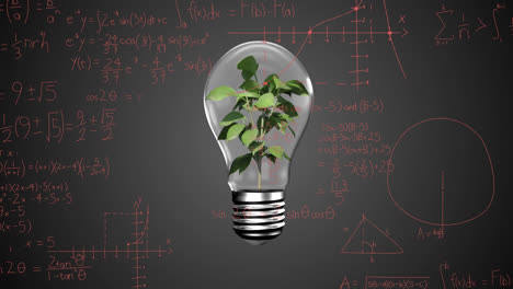 animación de una bombilla con una planta sobre ecuaciones matemáticas en fondo negro