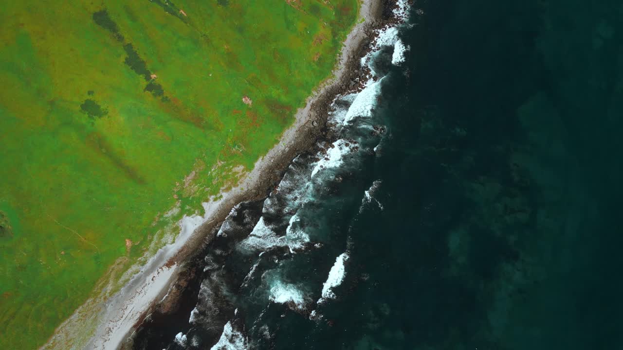 vista aérea de la costa con hierba verde exuberante y océano oscuro