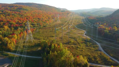 alta línea de energía que pasa a lo largo de un bosque colorido durante la mañana