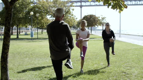 group of pensioners enjoying outdoor and working out