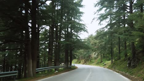 scenic drive through a mountain forest