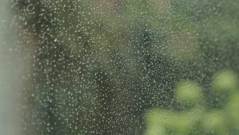 Cerca-De-Gotas-De-Lluvia-En-Una-Ventana,-Con-Un-Fondo-Verde-De-Naturaleza