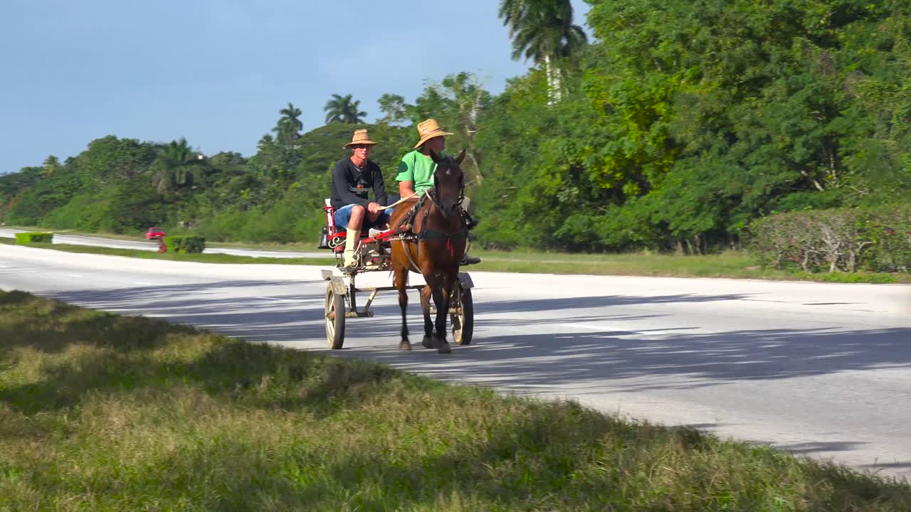 마차는 쿠바의 고속도로를 따라 움직입니다.