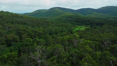 aerial view of a dense green forest with rolling hills under a cloudy sky