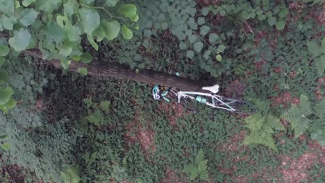 vertical video of an abandoned road bike in the forest